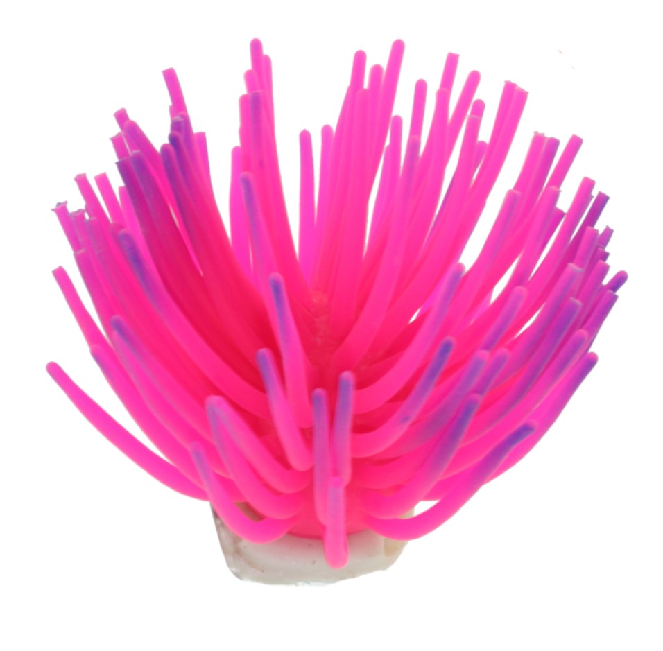 Nobleza Aquariuminrichting - Kunst koraal - anemoon - decoratie aquarium - L - 8 cm - Roze