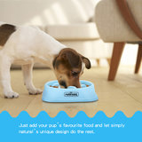 Voerbak hond anti schrok
