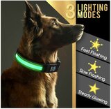 halsband hond met licht