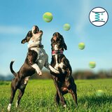 Nobleza Honden tennisballen - 3 Stuks_
