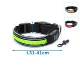 halsband verlichting hond