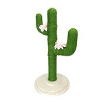 kattengroene cactusboom
