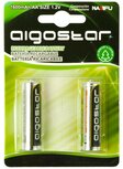 AA Oplaadbare Batterijen 1600 mAh 2 stuks AA Oplaadbare Batterijen 1600 mAh 2 stuks