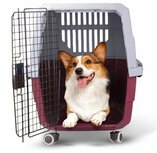 Transportbox voor hond en kat XL rood Transportbox voor hond en kat XL rood