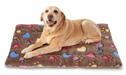Pluche Kleed voor hond en kat bruin L Pluche Kleed voor hond en kat bruin L