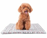 Pluche Kleed voor honden en katten Grijs M Pluche Kleed voor honden en katten Grijs M