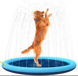 Animal Boulevard Sprinklermat Animal Boulevard Sprinklermat