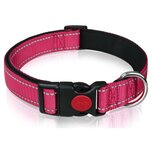 Hondenhalsband met kliksluiting Roze Hondenhalsband met kliksluiting Roze