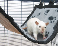 Savic Relax hangmat voor knaagdieren Savic Relax hangmat voor knaagdieren