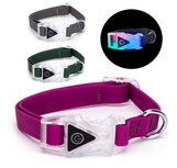 Hondenhalsband met licht waterproof Hondenhalsband met licht waterproof