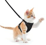 Harnas kitten of kleine katten met riem Harnas kitten of kleine katten met riem
