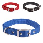 Hondenhalsband gevoerd met gesp S Hondenhalsband gevoerd met gesp S