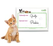 Katten cadeau pakket klein