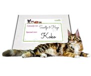 Katten cadeau pakket