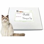 Katten cadeau brievenbuspakket 