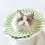 Aino Zachte beschermkraag voor kat - Groen - Maat M Aino Zachte beschermkraag voor kat - Groen - Maat M