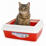 Nobleza Kattenbak open - 43x33x17 cm - Rood Nobleza Kattenbak open - 43x33x17 cm - Rood