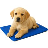 Nobleza Koelmat voor hond en kat - 40x50 cm Nobleza Koelmat voor hond en kat - 40x50 cm