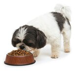 Nobleza Luxe voerbak voor hond en kat - RVS met houtmotief - Maat S Nobleza Luxe voerbak voor hond en kat - RVS met houtmotief - Maat S