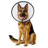 Nobleza Beschermkraag voor honden - Maat XL