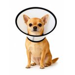 Nobleza Beschermkraag voor hond en kat - Maat XS Nobleza Beschermkraag voor hond en kat - Maat XS