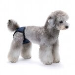 Nobleza Hondenbroekje met 3 inlegkruisjes - Maat M