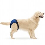 Nobleza Hondenbroekje met 3 pads - Maat XL