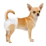 Nobleza Luiers voor hond en kat - Maat XS - 12 Stuks Nobleza Luiers voor hond en kat - Maat XS - 12 Stuks