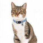 Nobleza Kattenhalsband met belletje - Paars Nobleza Kattenhalsband met belletje - Paars