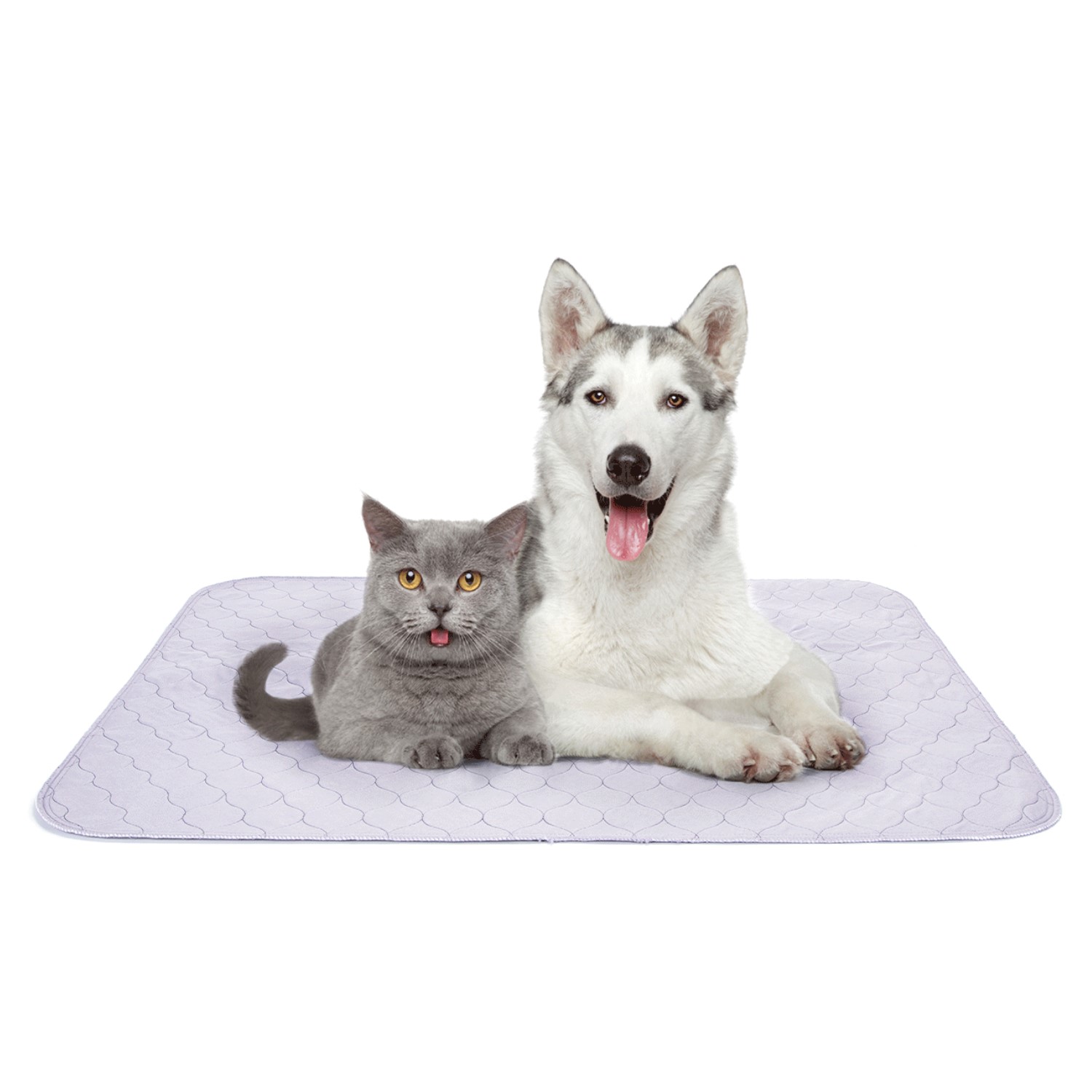 Nobleza Training pads - puppy pads - herbruikbaar - wasbare training pad - 60x45 cm