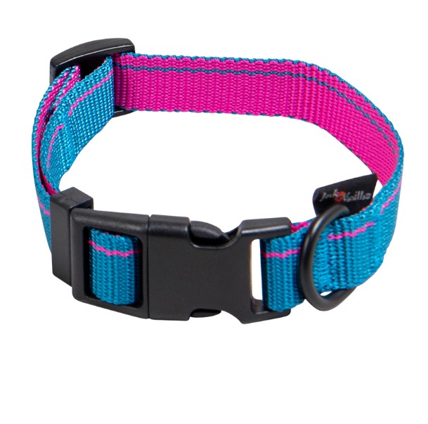 Jack and Vanilla Halsband voor honden - hondenhalsband - puppyhalsband - klikhalsband - Stripe - Blauw - M - 24 t/m 35 cm