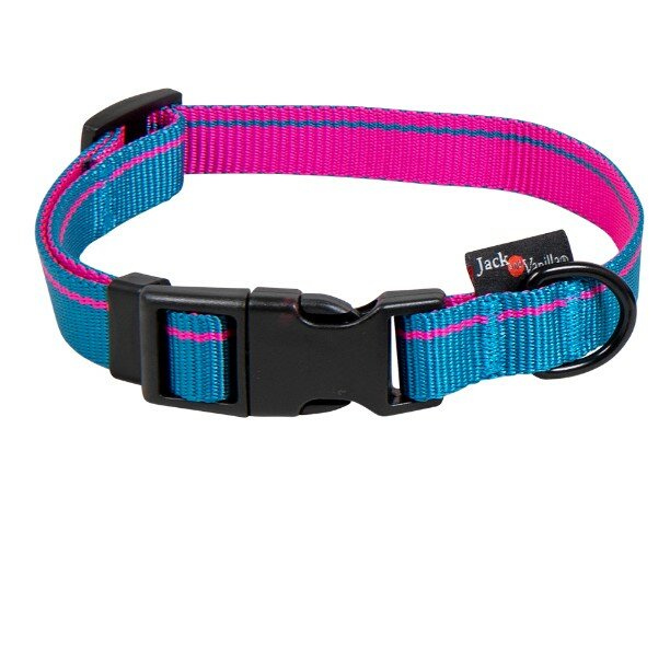 Jack and Vanilla Halsband voor honden - Hondenhalsband - Stripe - Blauw - L - 31 t/m 47 cm