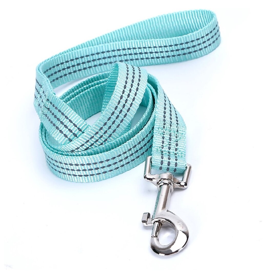 Nobleza Hondenriem lichtblauw - Reflecterend Nylon - Plat - Lengte 120 cm - Breedte 2 cm — afbeelding 1