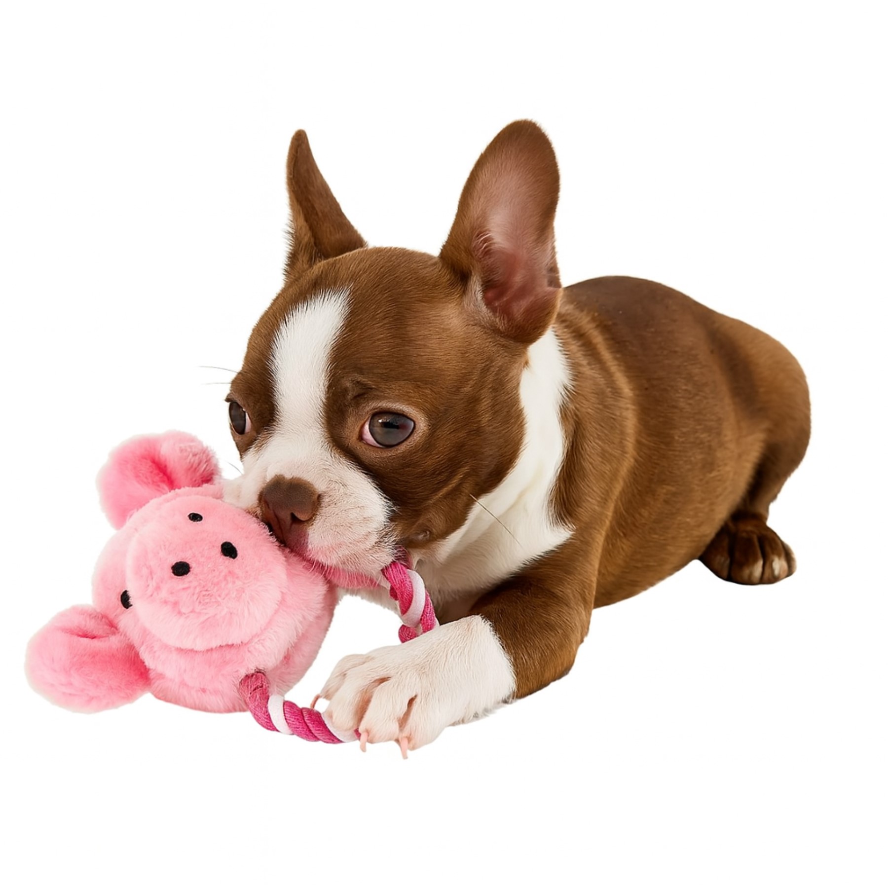 Nobleza Hondenknuffel met touw - Varkentje — afbeelding 1